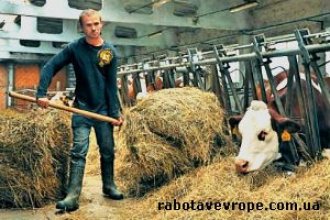 Работа в Чехии на ферме