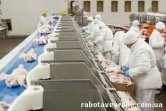 Работа в Германии на курином заводе