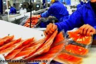 Работа в Норвегии на рыбном заводе