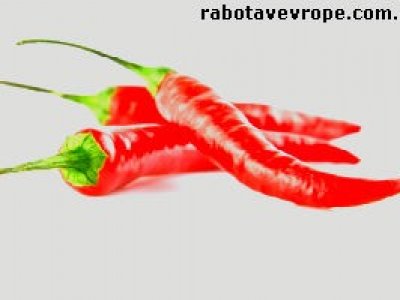 Работа в Чехии на фасовке перца