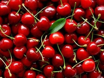 Робота в Бельгії на ягідній фермі