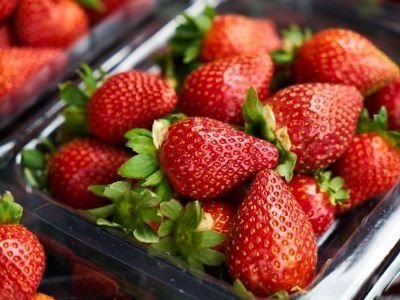 Робота в Данії на збиранні полуниці