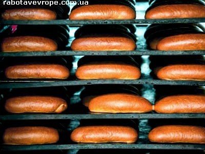 Робота в Нідерландах на пекарні