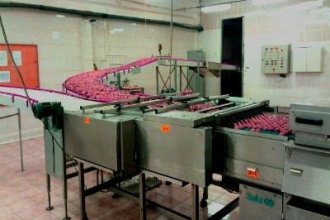 Робота в Польщі на курячому заводі
