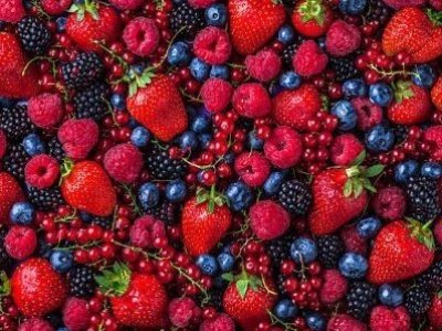 Робота в Словаччині на збиранні ягід