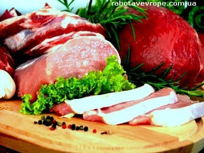 Работа в Голландии на мясокомбинате