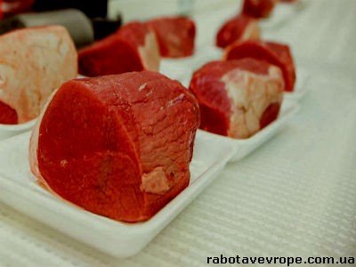 Работа в Бельгии на мясокомбинате