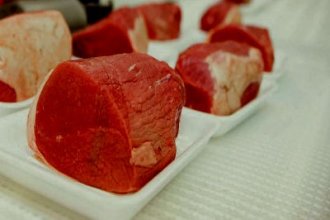 Работа в Бельгии на мясокомбинате