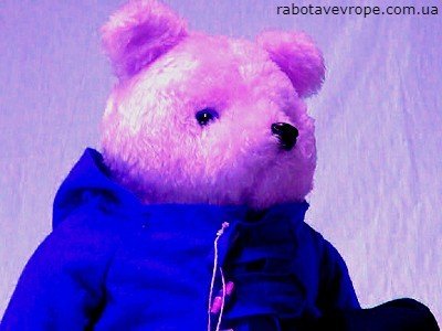 Работа в Германии на складе Teddy