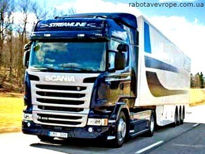 Rabota-v-Gollandii-voditeli-CE-min