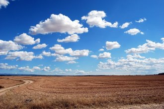 Работа в Литве на поле