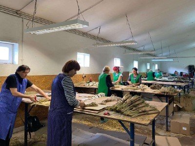 Работа в Польше на создании декоративных растений