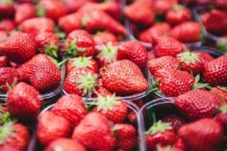 Работа в Бельгии на сборе клубники