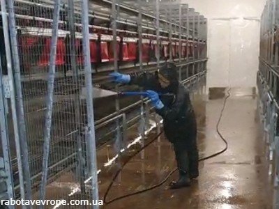 Работа в Германии мытьё ангаров