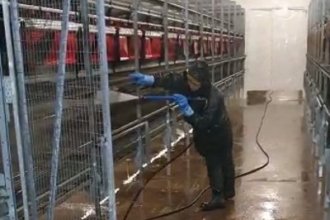 Работа в Германии мытьё ангаров