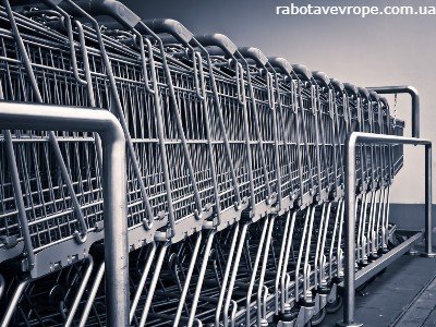 Работа в Голландии на ремонте тележек