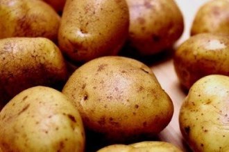 Робота в Німеччині на сортуванні картоплі