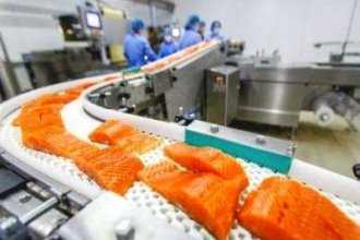Вакансія у Польщі на обробці червоної риби