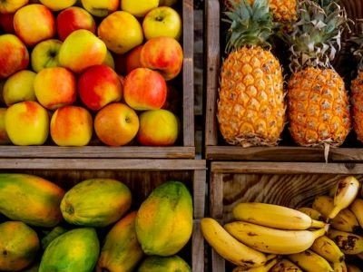 Работа в Литве на складе фруктов и ягод